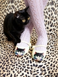 cats-kittens-flats-shoes-14_161859525237